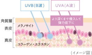 UV A波　B波　紫外線　ヘリオホワイト　飲む日焼け止め　ロート製薬