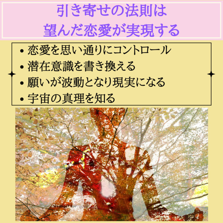 引き寄せの法則は 望んだ恋愛が実現する　恋愛を思い通りにコントロール 潜在意識を書き換える 願いが波動となり現実になる 宇宙の真理を知る　