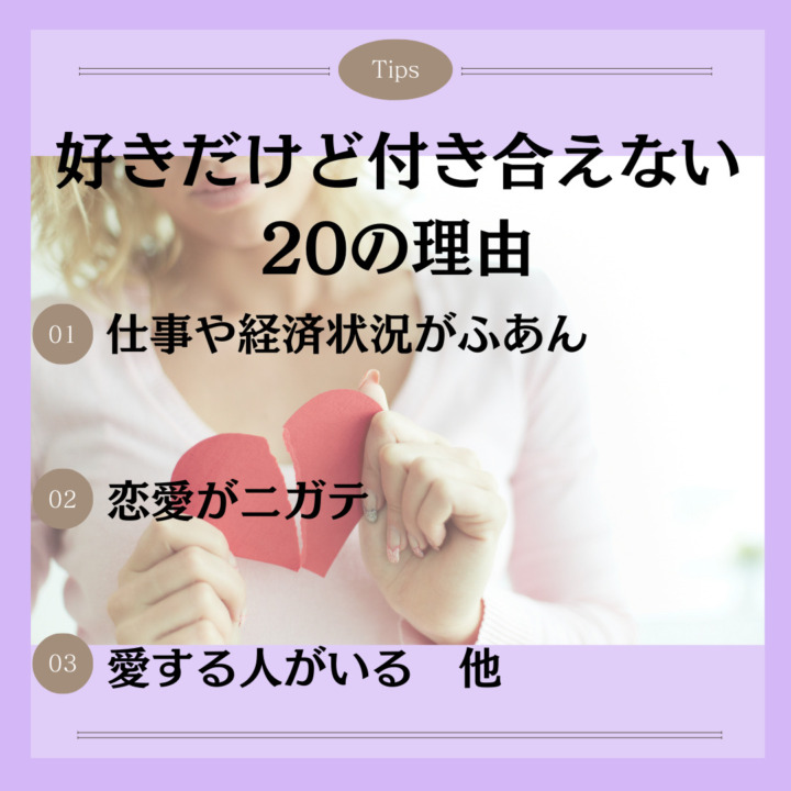 好きだけど付き合えない20の理由 仕事や経済状況がふあん 恋愛がニガテ 愛する人がいる　他